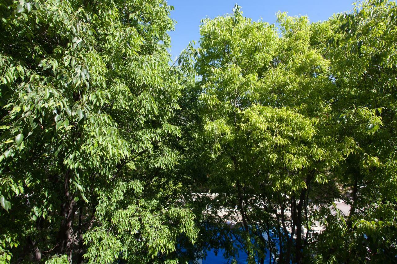 Superbe Appartement Loft Vieil Antibes Exteriör bild